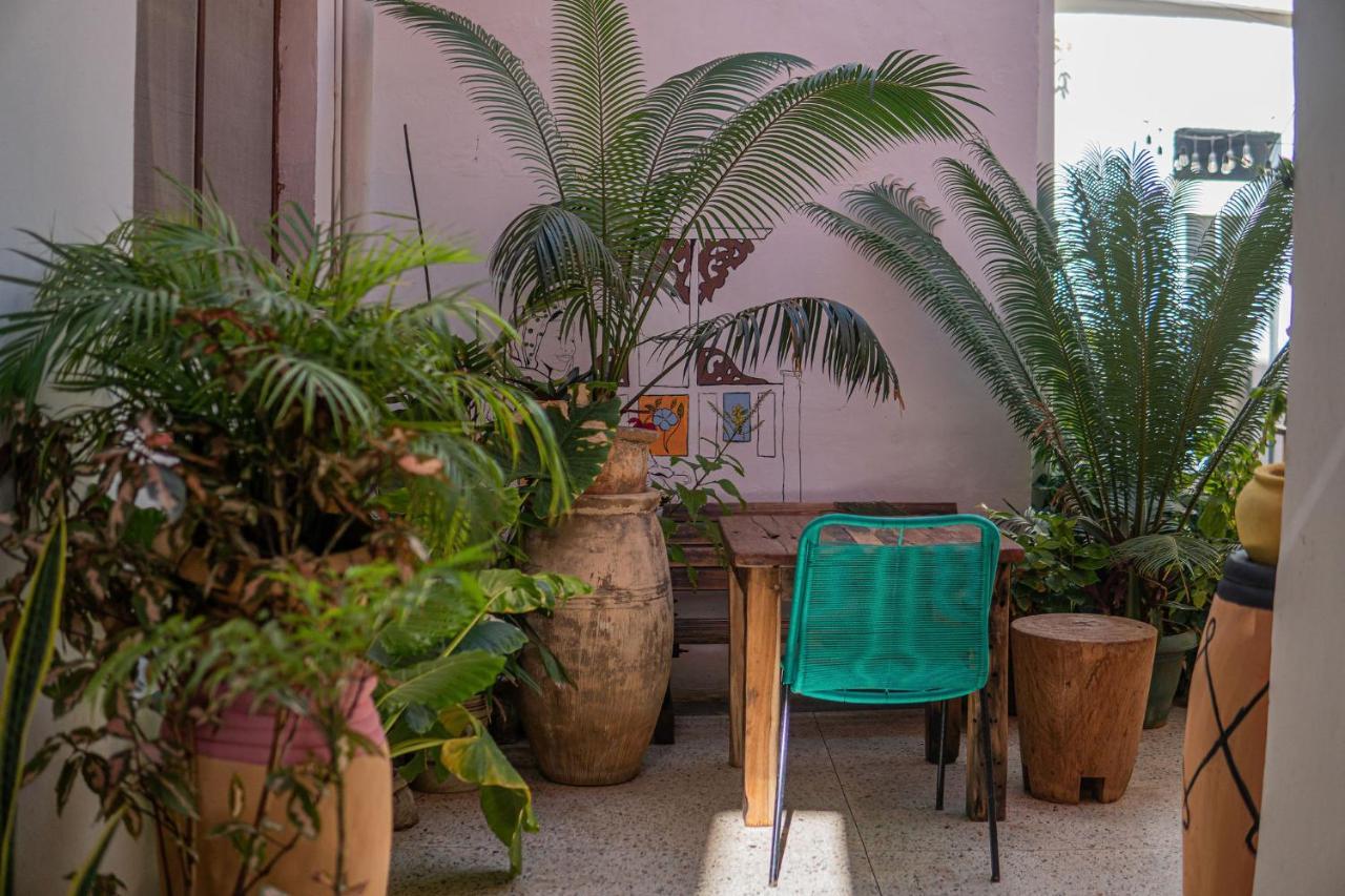 Tarawanda House -Thrivestawi Bed & Breakfast Zanzibar Exterior photo